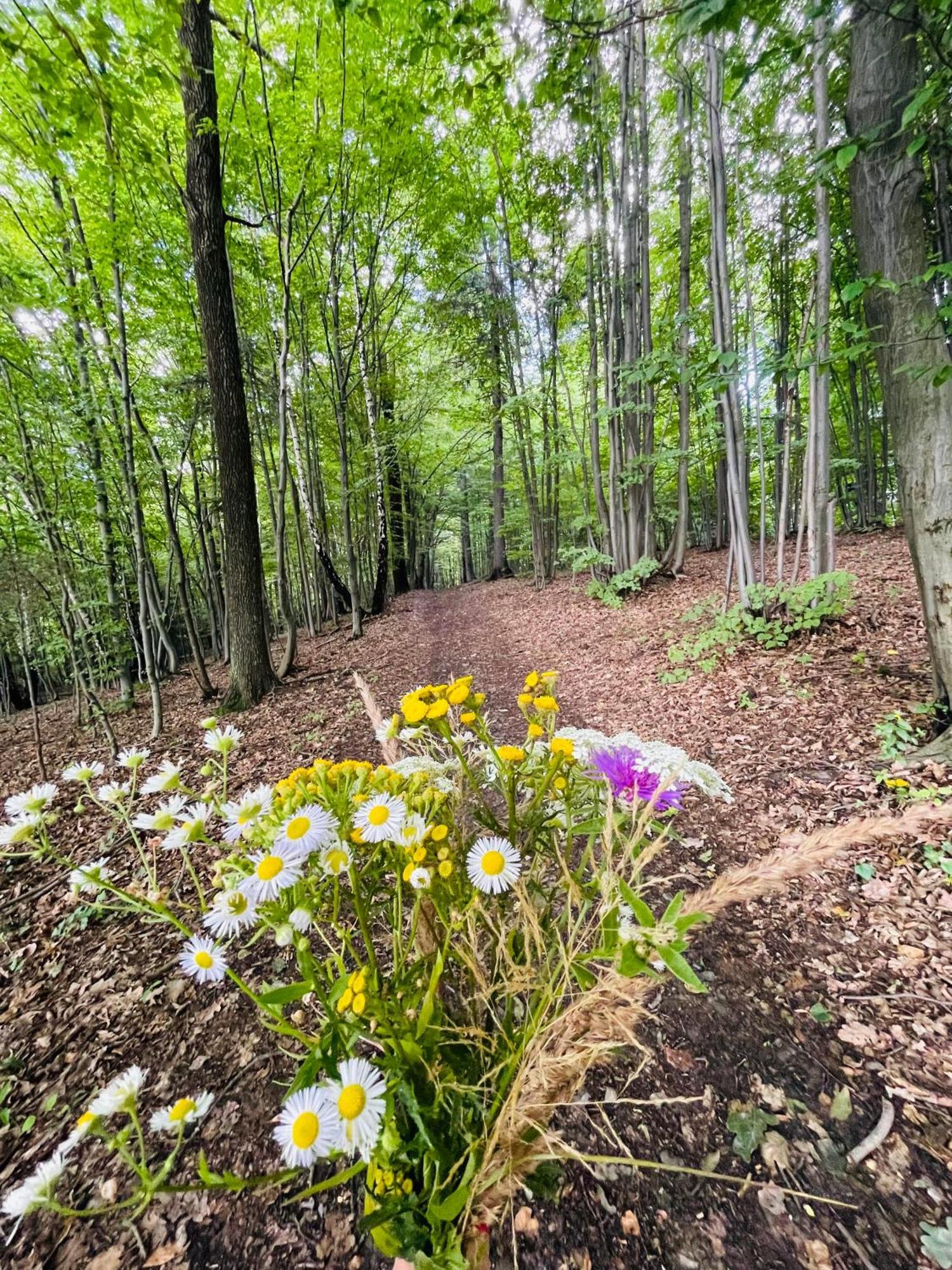 Вилла Wioska Jasia I Malgosi Izdebnik Экстерьер фото